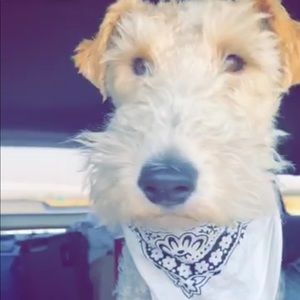 Meet your Posher, Ian